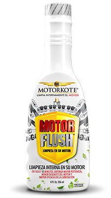 MOTORFLUSH